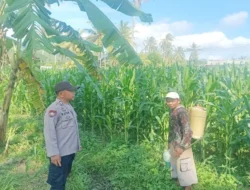 Sinergi Tanpa Batas di Lombok Barat: Saat Polisi dan Petani Berkolaborasi Demi Kedaulatan Pangan Desa