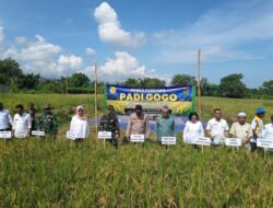 Sinergi Petani dan Aparat Dukung Ketahanan Pangan Lombok Utara