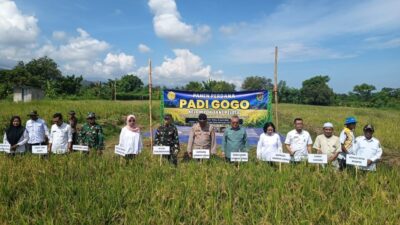 Sinergi Petani dan Aparat Dukung Ketahanan Pangan Lombok Utara