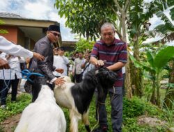 HBK Ingin NTB Mulai Kembangkan Food Estate Sektor Peternakan