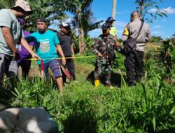 Persiapan Akses Jalan Menuju Lahan Pertanian, Babinsa Montong Are Bersama Warga dan Tokoh Masyarakat Pasang Patok