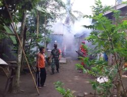 Babinsa Kuripan Induk Dampingi Nakes Puskesmas Kuripan Laksanakan Fogging