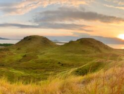 Menemukan Paradise di Pulau Kalong: Destinasi Wisata Terbaru di Sumbawa Barat yang Akan Membuat Kamu Terpesona!