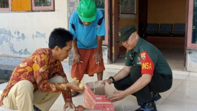 Dampingi dan Berikan Penyuluhan, Babinsa Kuripan Timur Harap Bisa Meningkatkan Produksi