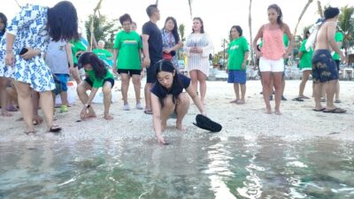 TCC Nipah Laksanakan Perilisan/Pelepasan Anakan Penyu/Tukik, Jaga Alam Bawah Laut Tiga Gili