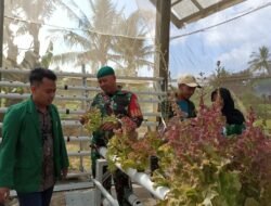 Kunjungi Pemuda Tani, Babinsa Kuripan Timur Ajak Mahasiswa KKN Belajar Metode Bertani Hidroponik