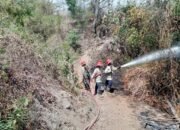 Babinsa dan Petugas Pemadam Kebakaran Cepat Tangani Kebakaran Hutan di PT. ASANO, Lombok Utara
