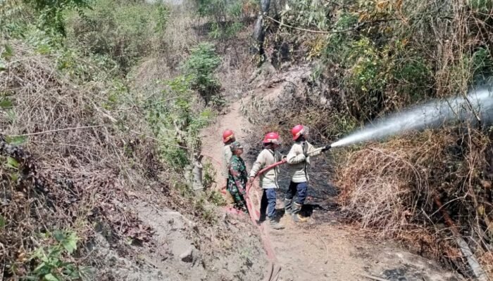 Babinsa dan Petugas Pemadam Kebakaran Cepat Tangani Kebakaran Hutan di PT. ASANO, Lombok Utara
