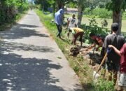 Kekompakan Aparat Keamanan dan Masyarakat: Babinsa Lembar Turut Aktif dalam Program Pentaludan Jalan Desa
