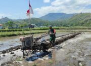 Babinsa Gondang Dukung Pertanian Organik di Lombok Utara dengan Teknologi Modern