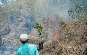 Kerja Sama Cepat Antara Babinsa dan Warga Selamatkan Wilayah Labuan Tereng dari Kebakaran