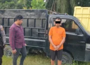 Maling Sapi Antar Provinsi Beraksi 50 Kali, Akhirnya Diringkus