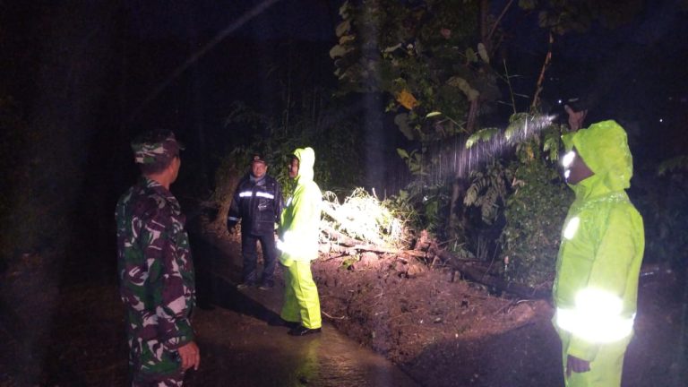 Tanah Longsor Tutup Akses Jalan di Tulungagung