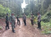 Cegah Perambahan Hutan, TNI-Polri Bersama KPH Ropang Gelar Patroli Gabungan