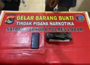 Penggerebekan di Gerung Selatan: Polisi Sita Ganja, Pelaku Terancam 15 Tahun Penjara