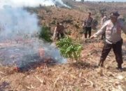 Tim Gabungan Personel Polsek Bolo dan Polsek Donggo  Padamkan Kebakaran Lahan.