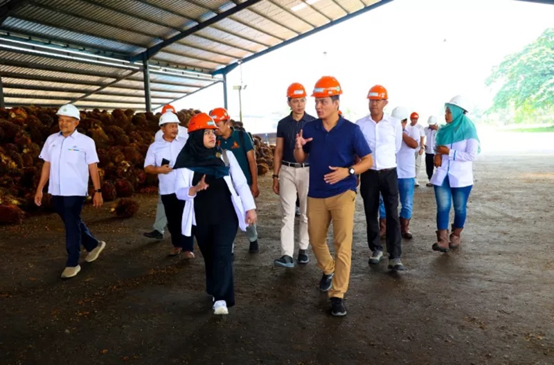 PTPN dan FGV Jajaki Kolaborasi Energi Bersih