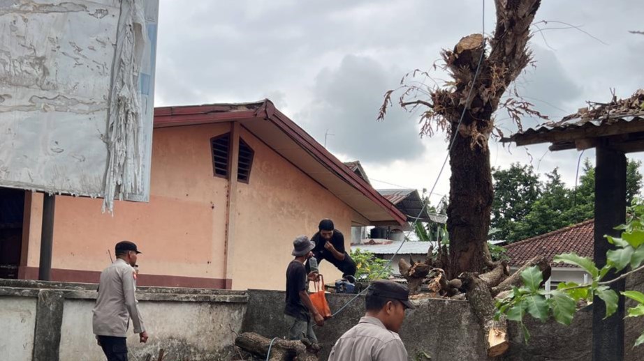 Polsek Kediri Amankan Penebangan Pohon di Halaman SDN 4 Kediri Selatan