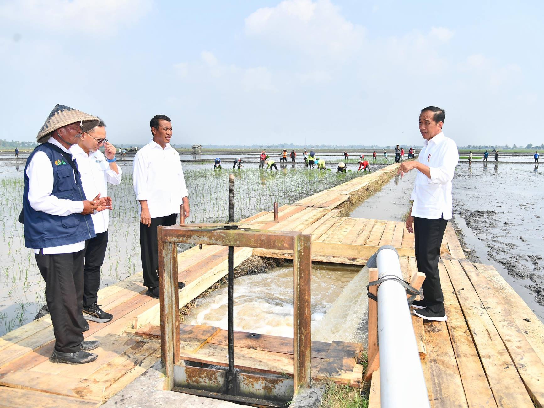 Presiden Joko Widodo Tinjau Pompanisasi di Lampung