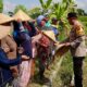 Polri dan Petani Lombok Barat Bersinergi Wujudkan Swasembada Pangan