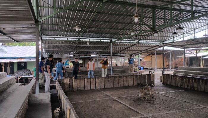 Pemberantasan Perjudian, Kodim 1606 dan Polres Mataram Sidak Lokasi Sabung Ayam