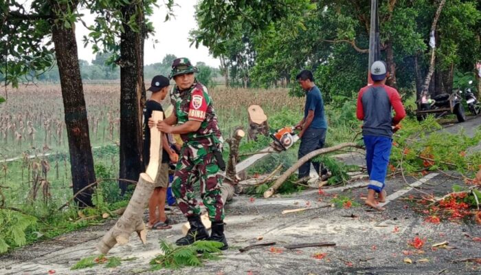 Babinsa dan BPBD Gerak Cepat Atasi Pohon Tumbang