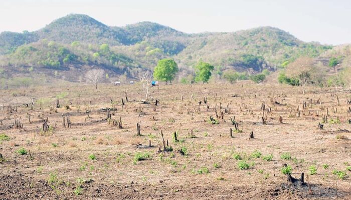 Kerusakan Lingkungan Dampak Tambang dan Illegal Logging di NTB