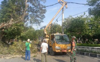 Sinergi TNI dan DLH Kota Mataram Cegah Pohon Tumbang