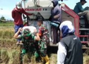 Dandim 1606/Mataram Pantau Stok Beras dan Serapan Gabah Petani 