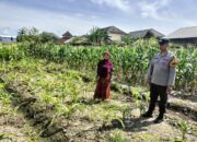 Kapolsek Labuapi Ajak Petani Maksimalkan Lahan untuk Ketahanan Pangan