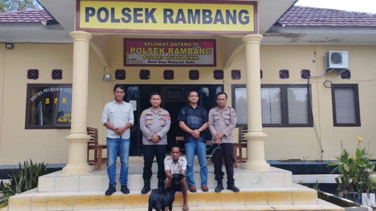 Polisi Tangkap Pencuri Kambing di Muara Enim, Satu Pelaku Masih Buron!