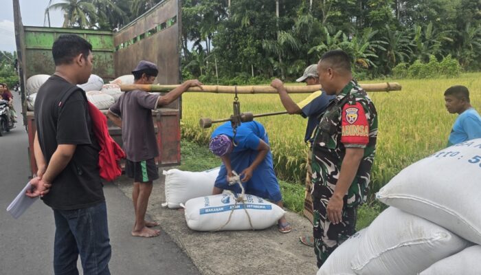 Babinsa dan Bulog Sergap Petani di Kuripan Utara 