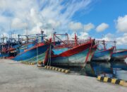 KKP Bekukan Izin 11 Kapal Ikan Akibat Transhipment Ilegal