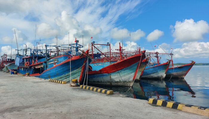 KKP Bekukan Izin 11 Kapal Ikan Akibat Transhipment Ilegal