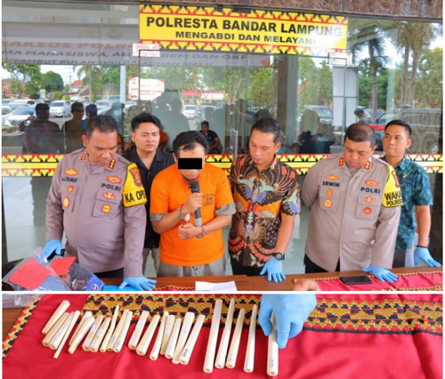 Bisnis Ilegal! Pria di Lampung Ditangkap Jual Pipa Rokok Gading Gajah