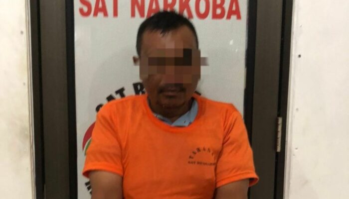 Polres Nias Tangkap Pengedar Ganja di Gunungsitoli