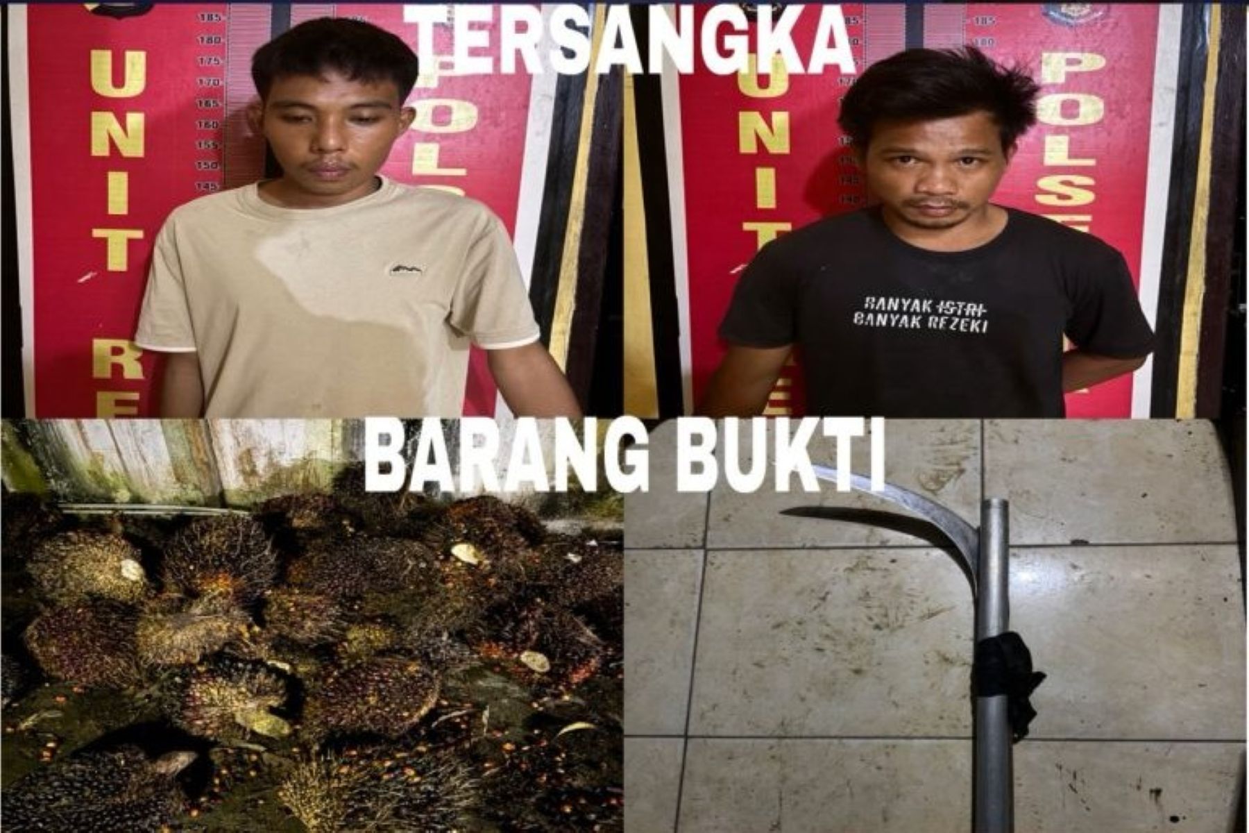 Kebun Sawit di Pali Disatroni Pencuri, 2 Pelaku Dibekuk Polisi