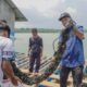 Batam Jadi Pusat Modeling Budidaya Lobster Berbasis Pakan Alami
