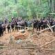 Operasi Gabungan Tegas Berantas Penambangan Ilegal di TNBNW