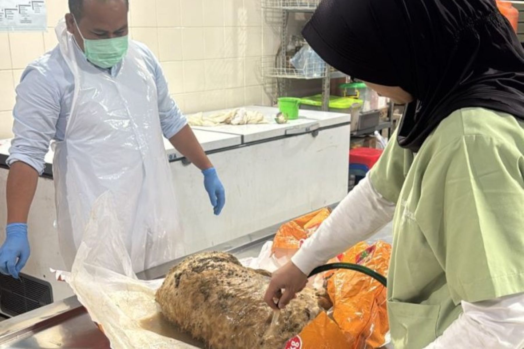 Investigasi Polisi, Penyebab Kematian Anjing di Shelter Sentul Terungkap