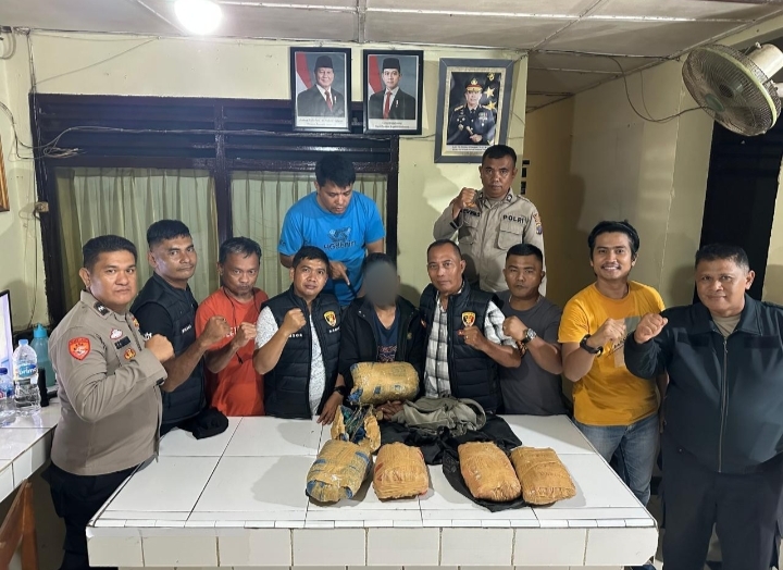 Bandar Ganja Ditangkap di Tapanuli Selatan, Ini Lokasinya!