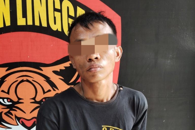 Tim Macan Linggau Ungkap Kasus Pencurian di Lubuklinggau