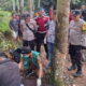 Penemuan Mayat Pria di Sungai Tanggamus, Polisi Lakukan Identifikasi