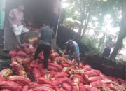 Polres Bengkalis Gagalkan Penyelundupan 2.050 Karung Bawang Merah dan Ban Bekas dari Malaysia
