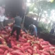 Polres Bengkalis Gagalkan Penyelundupan 2.050 Karung Bawang Merah dan Ban Bekas dari Malaysia