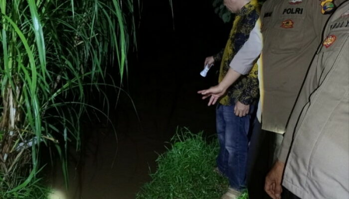 Bahaya Mengintai di Sungai Way Semaka: Serangan Buaya Terulang Lagi
