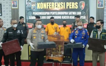 Ribuan Burung Selundupan dari Malaysia Diungkap Polisi di Meranti