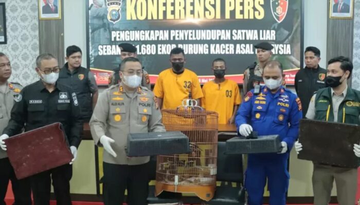 Ribuan Burung Selundupan dari Malaysia Diungkap Polisi di Meranti
