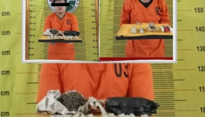 Polisi Bongkar Jaringan Ganja Antar Wilayah di Padangsidimpuan