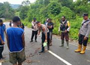 Kecelakaan Maut di Keerom, Pria Tewas Setelah Tertabrak Rekan Sendiri